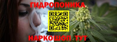гашик Лесосибирск