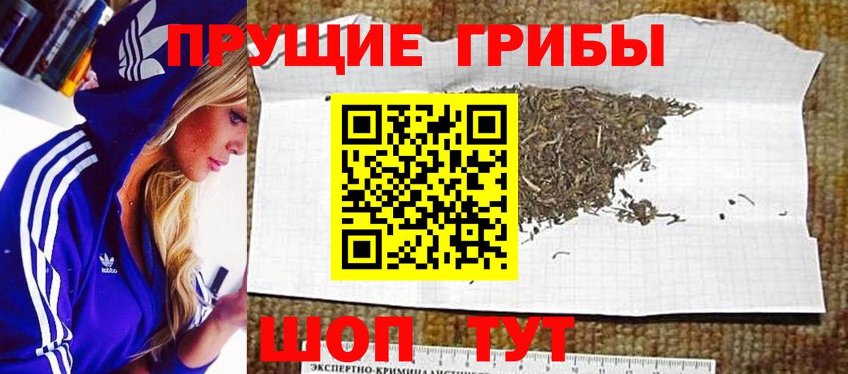 Галлюциногенные грибы Cubensis Губкинский