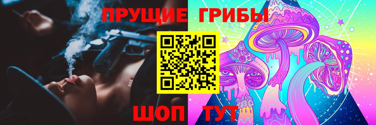 Галлюциногенные грибы Psilocybe  Вход с VPN  Губкинский 